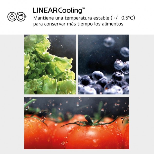 Frigorífico Combi LG GBV22NCDPY 203x60cm D Inox 419 Litros