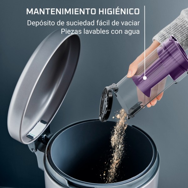 Aspirador escoba Rowenta X-Pert 7.60 RH6A35 Negro 140 W