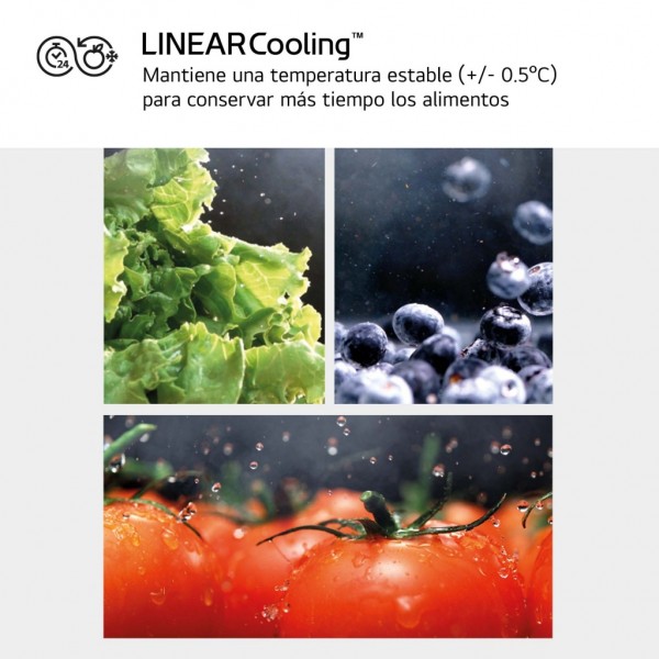 Frigorífico americano LG serie 400 GSLC40PYPE Inox 179x91 cm No Frost E