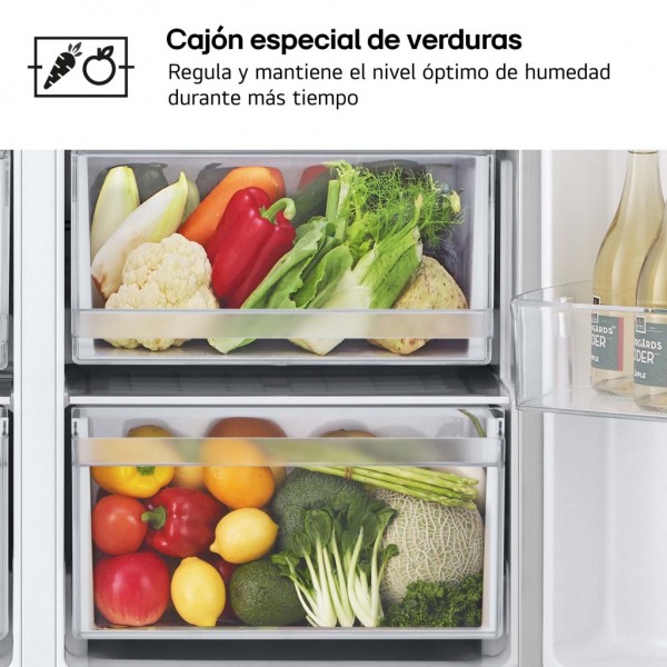 Frigorífico americano LG serie 400 GSLC40PYPE Inox 179x91 cm No Frost E