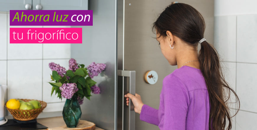 Ahorra en tu factura de la luz con tu frigorífico